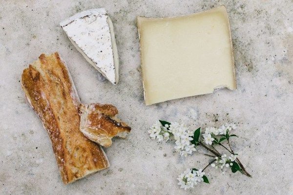 The secrets of crafting gourmet vegan cheese