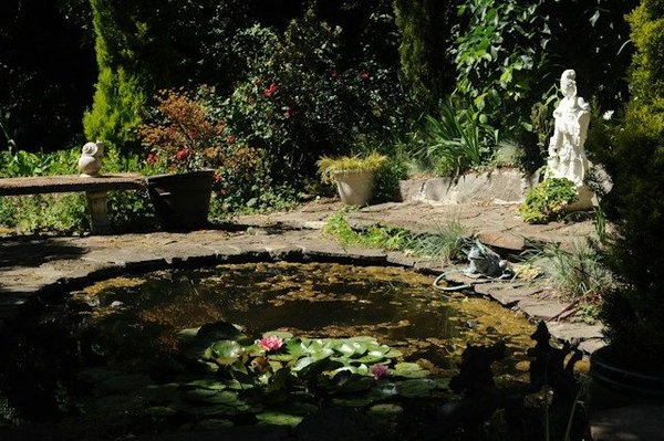 Building a backyard pond: a guide to creating a water oasis